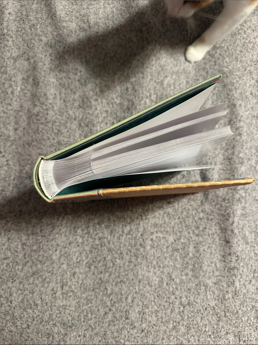 K&Company Photo Album with memo space